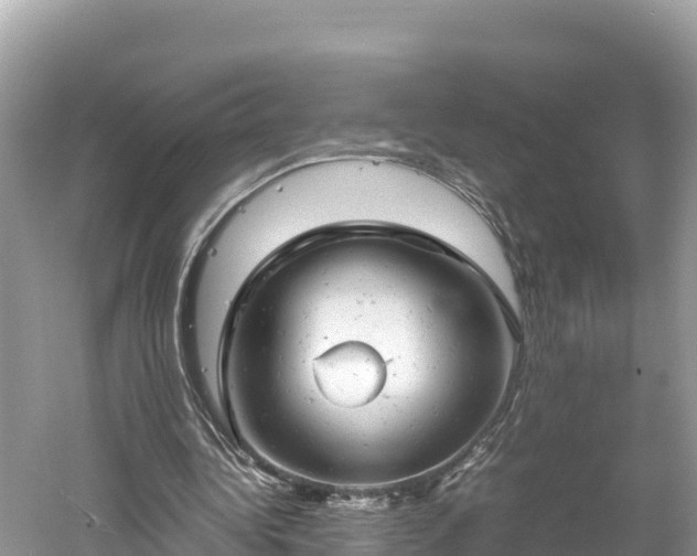 X0000061120340200511211006