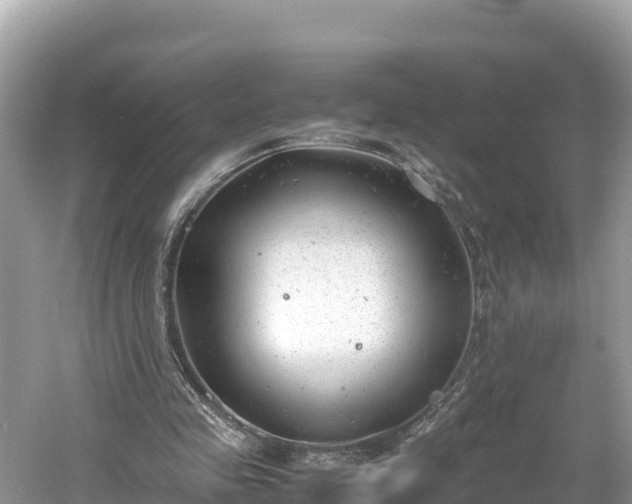 X0000061120341200511211006