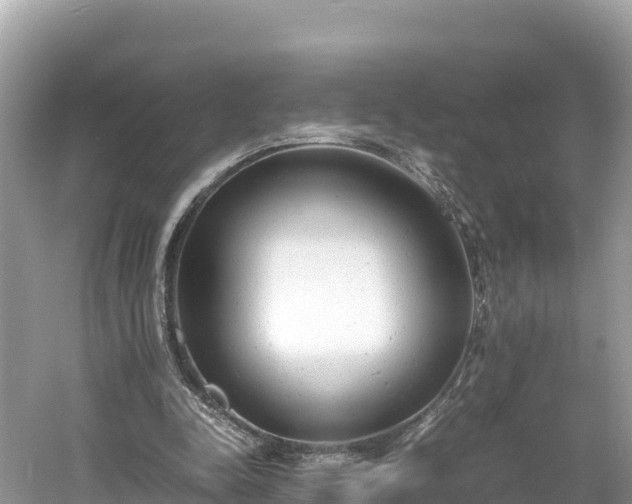 X0000061120342200511211006