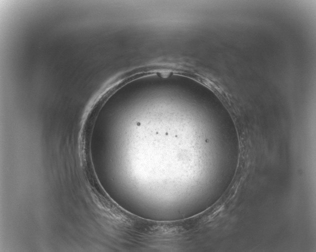 X0000061120343200511211006