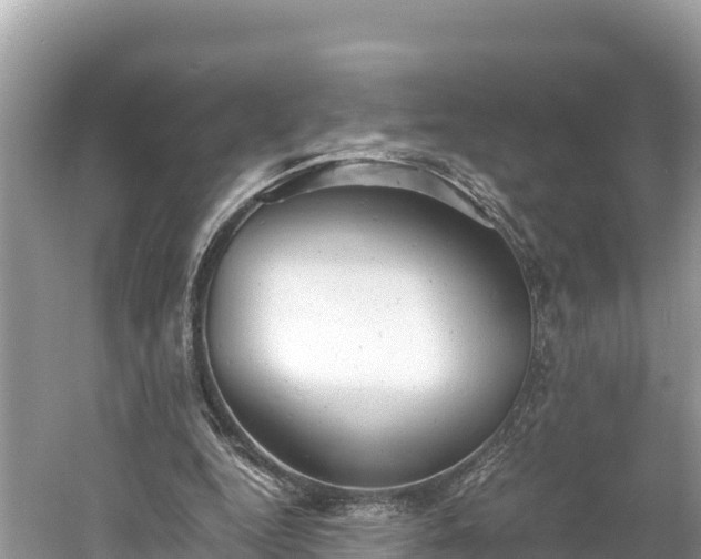 X0000061120344200511211006