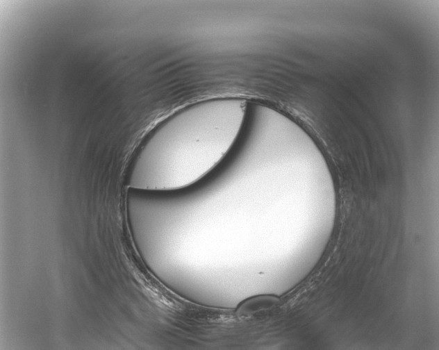 X0000061120345200511211006