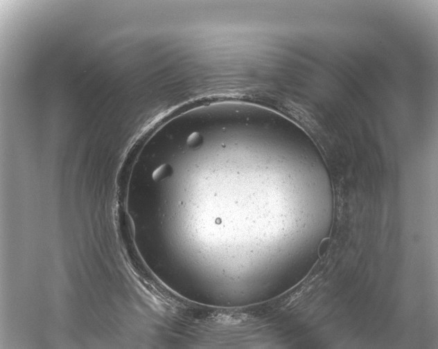 X0000061120346200511211006