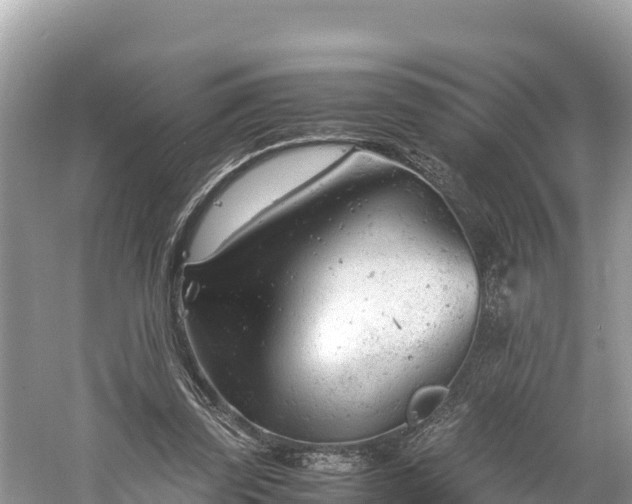 X0000061120347200511211006