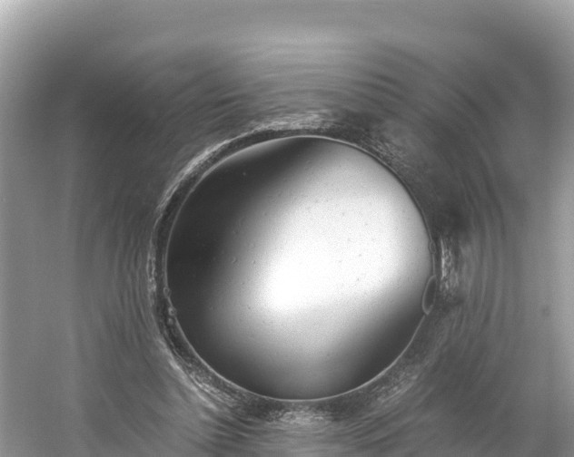 X0000061120348200511211006