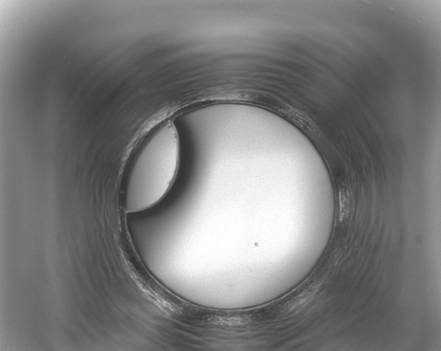 X0000061120349200511211006