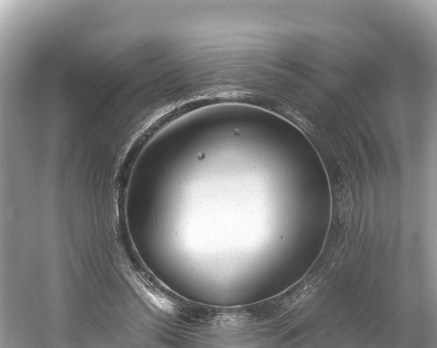 X0000061120350200511211006