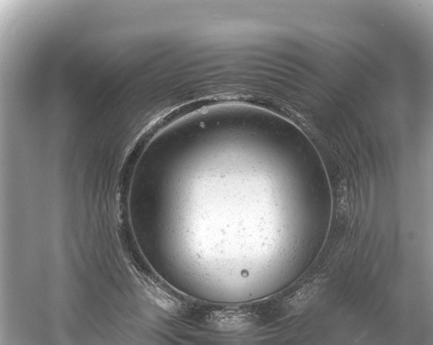 X0000061120351200511211007