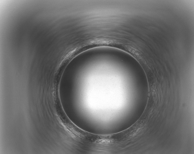 X0000061120352200511211007