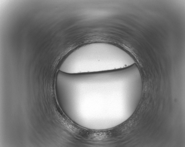 X0000061120353200511211007