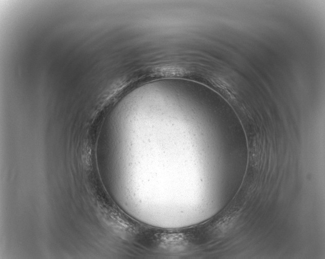 X0000061120355200511211007