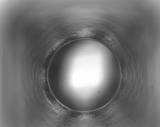 X0000061120356200511211007