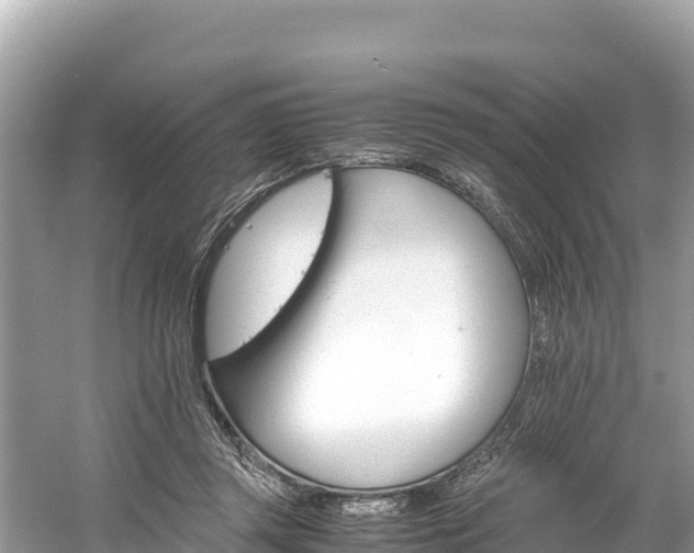 X0000061120357200511211007