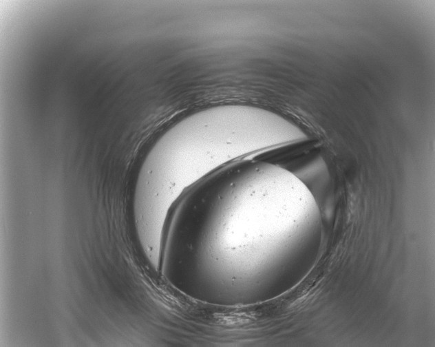 X0000061120359200511211007