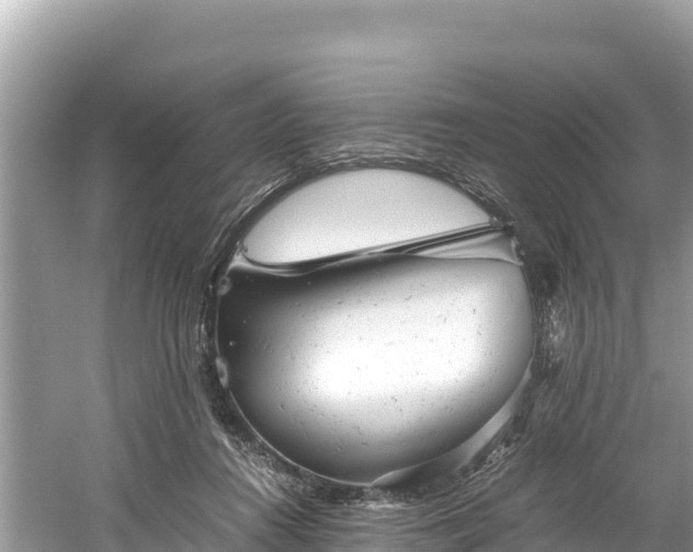 X0000061120360200511211007