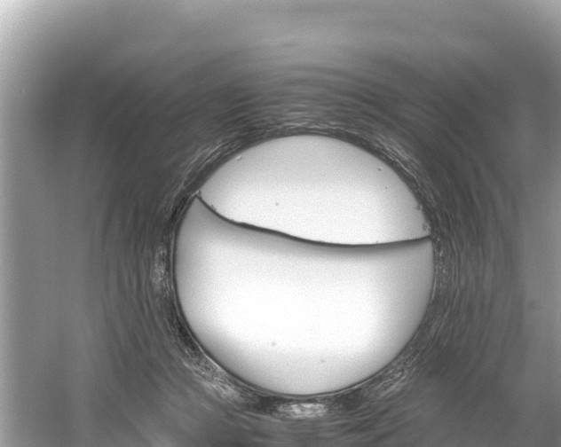 X0000061120361200511211007