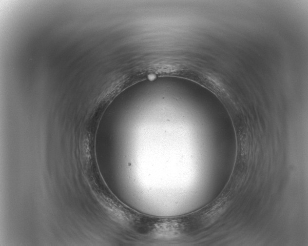 X0000061120362200511211007