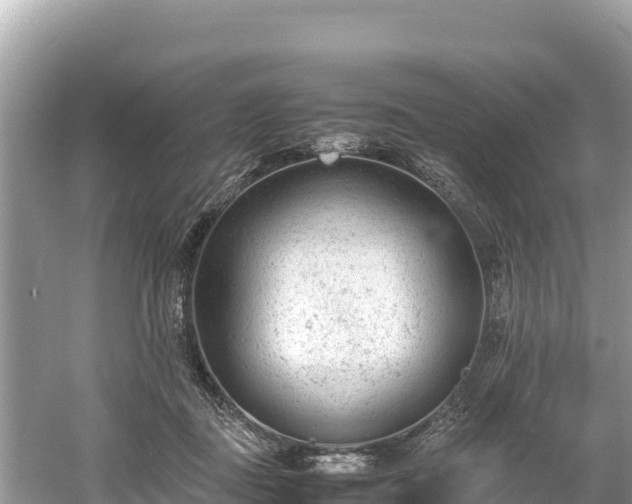 X0000061120363200511211007