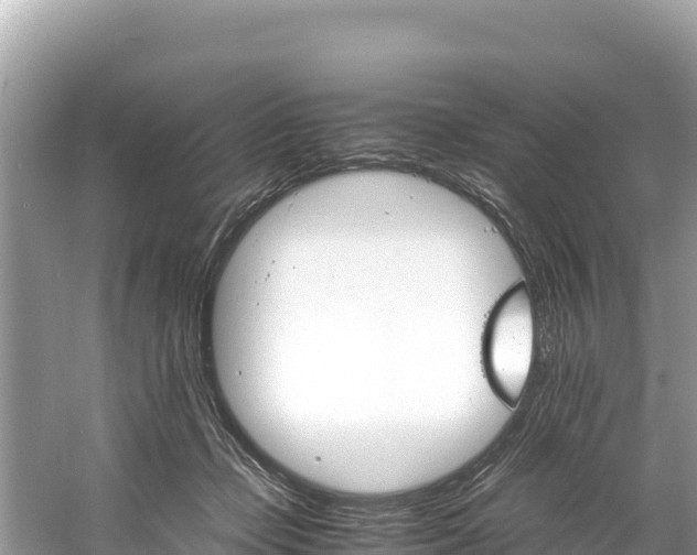 X0000061120365200511211007