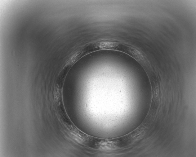 X0000061120367200511211007