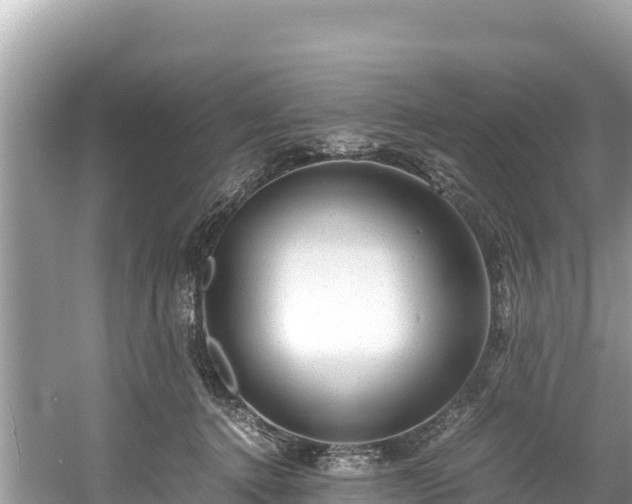 X0000061120368200511211007