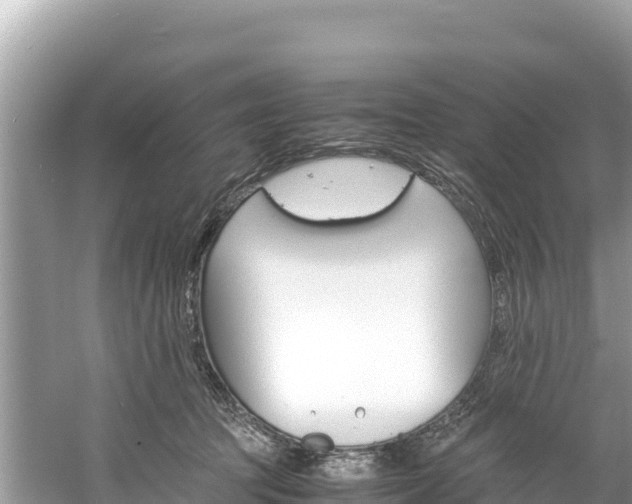 X0000061120369200511211007