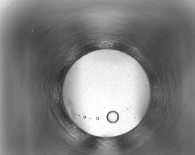 X0000061120370200511211007