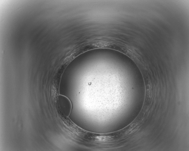 X0000061120371200511211007