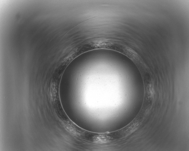 X0000061120372200511211007