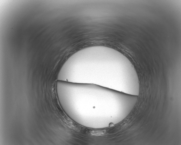 X0000061120373200511211007