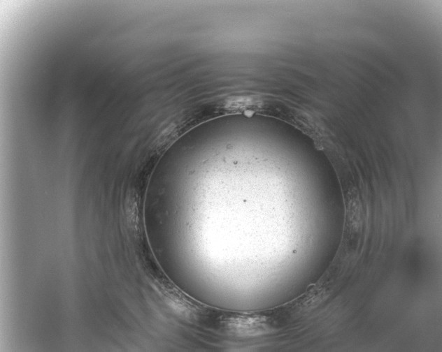 X0000061120375200511211007