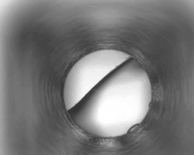 X0000061120377200511211007