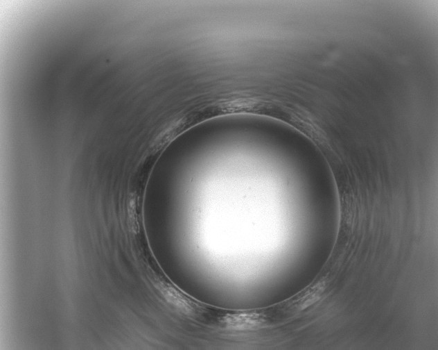 X0000061120378200511211007