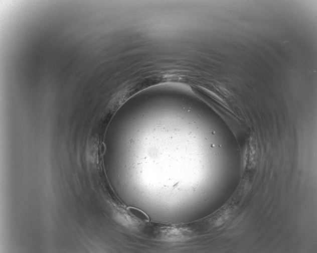 X0000061120379200511211007