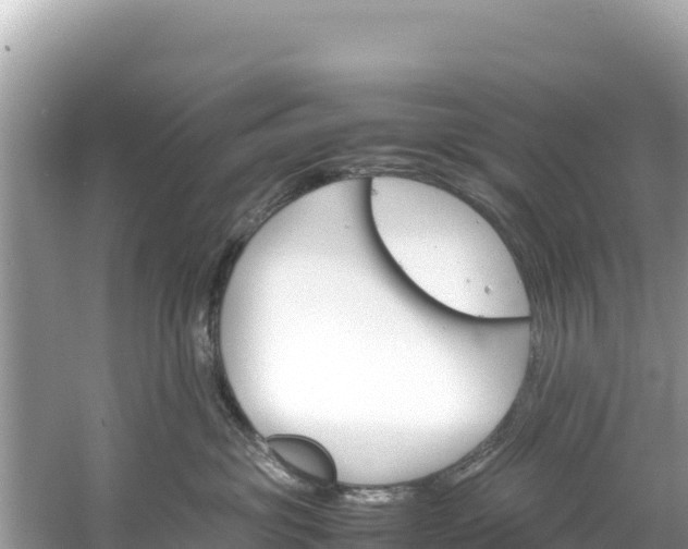 X0000061120381200511211007