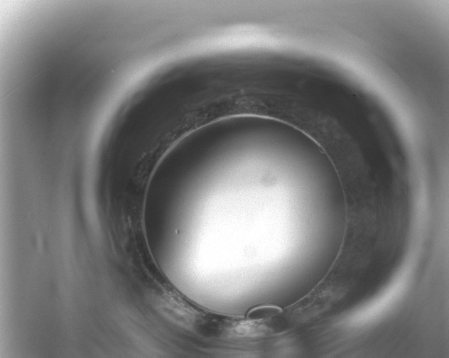 X0000061120382200511211007