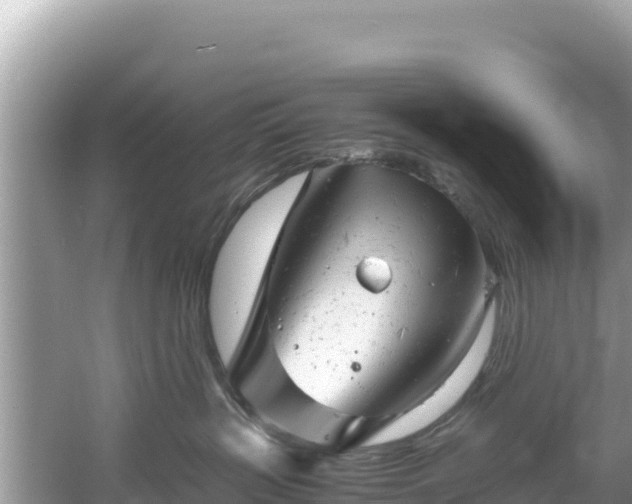 X0000061120383200511211007