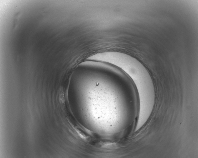 X0000061120384200511211007