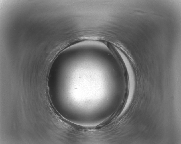 X0000061120385200511211006