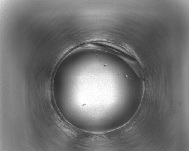 X0000061120386200511211006