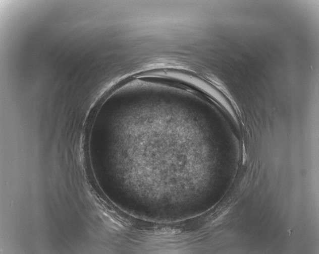 X0000061120387200511211006