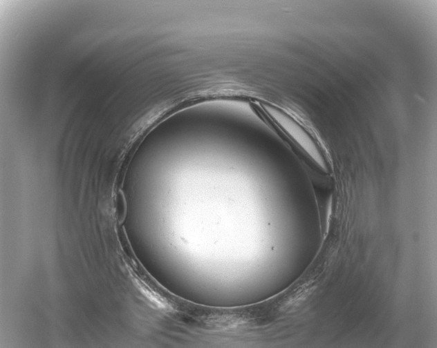 X0000061120389200511211006