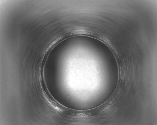 X0000061120390200511211006