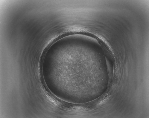 X0000061120391200511211006