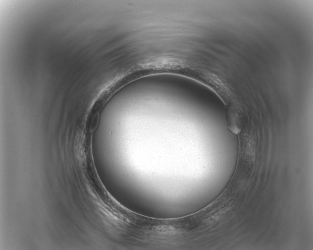 X0000061120392200511211006