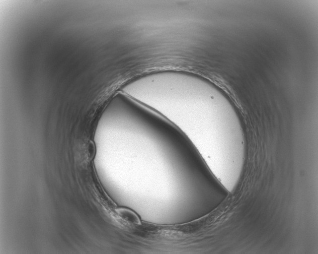 X0000061120393200511211006