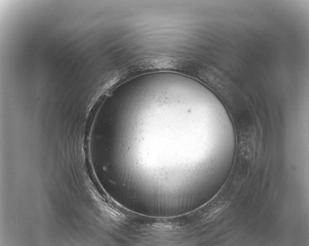 X0000061120394200511211006