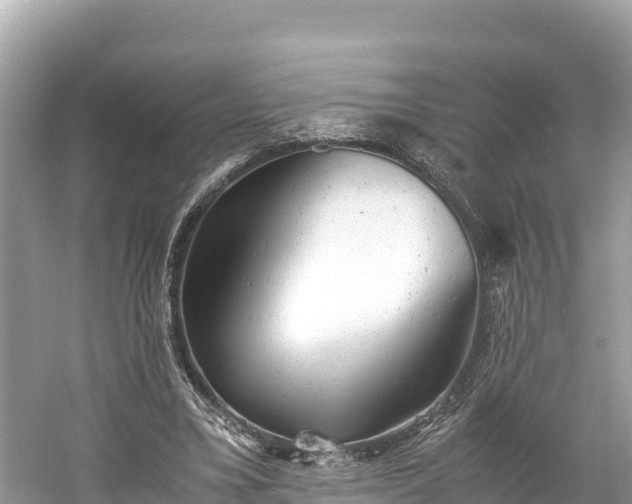 X0000061120395200511211006