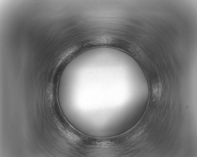 X0000061120396200511211006