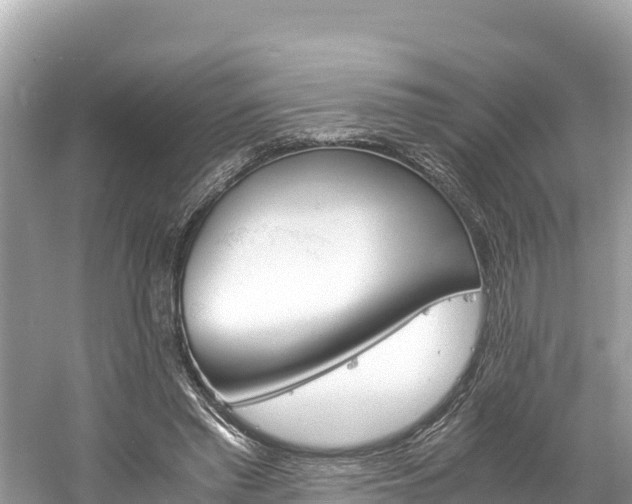 X0000061120397200511211006